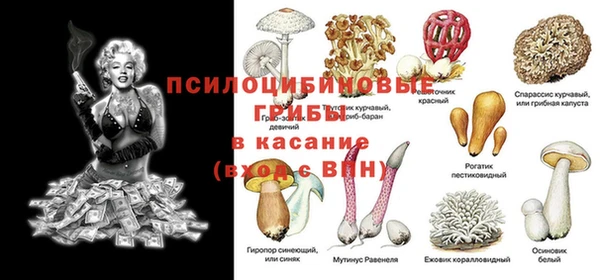 мяу мяу кристалл Нефтекумск